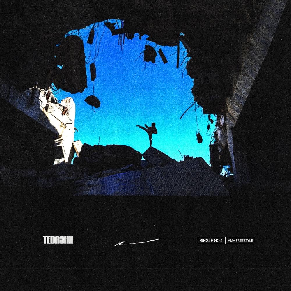 Album cover art for "MMA Freestyle" by Tedashii