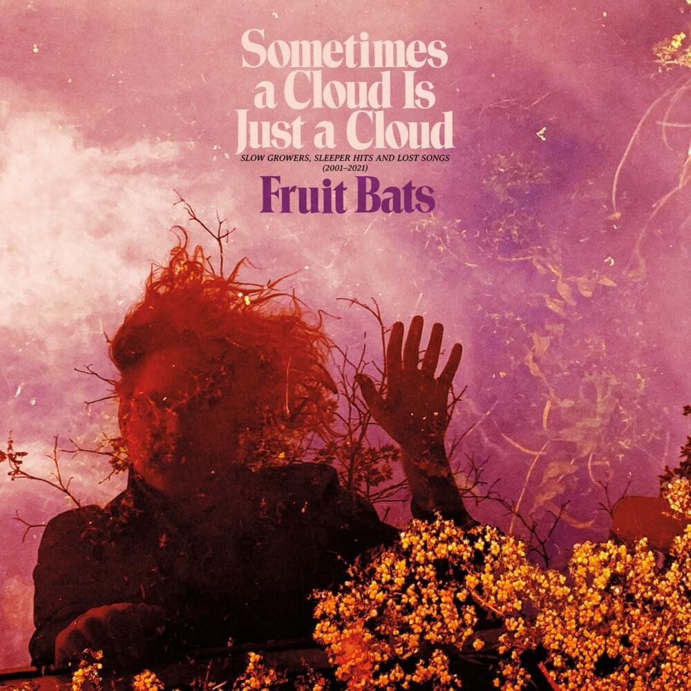 Cover image for Sometimes a Cloud Is Just a Cloud: Slow Growers, Sleeper Hits and Lost Songs (2001–2021)