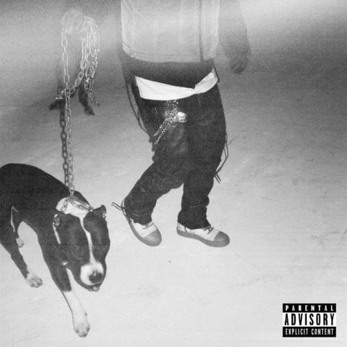 Album cover art for "Level" by Cinco