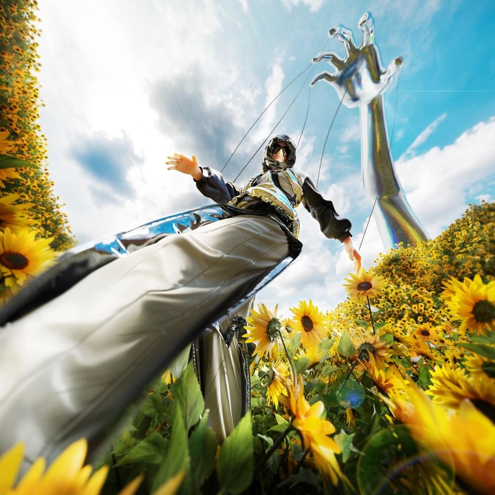Cover image for MIA