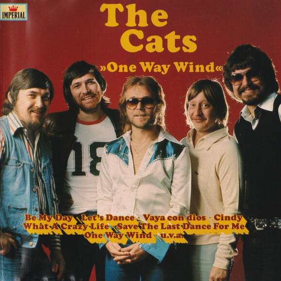 Cover image for One Way Wind