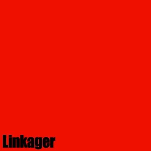Album cover art for "Linkager (Aliesrite*)" by Ym1024 & lamie* (JPN)