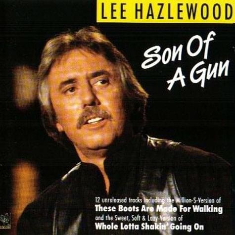 Cover image for Son of a Gun
