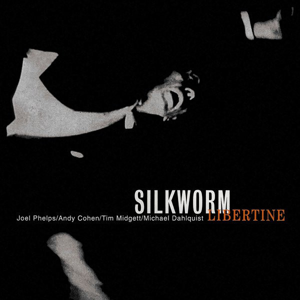Album cover art for "Couldn’t You Wait?" by Silkworm