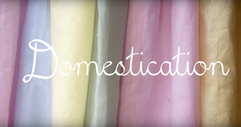Album cover art for "Domestication" by Laura Gibson