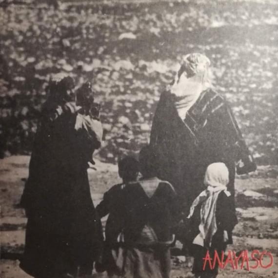 Album cover art for "Anayasso" by Selda Bağcan