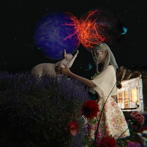 Cover image for Flare