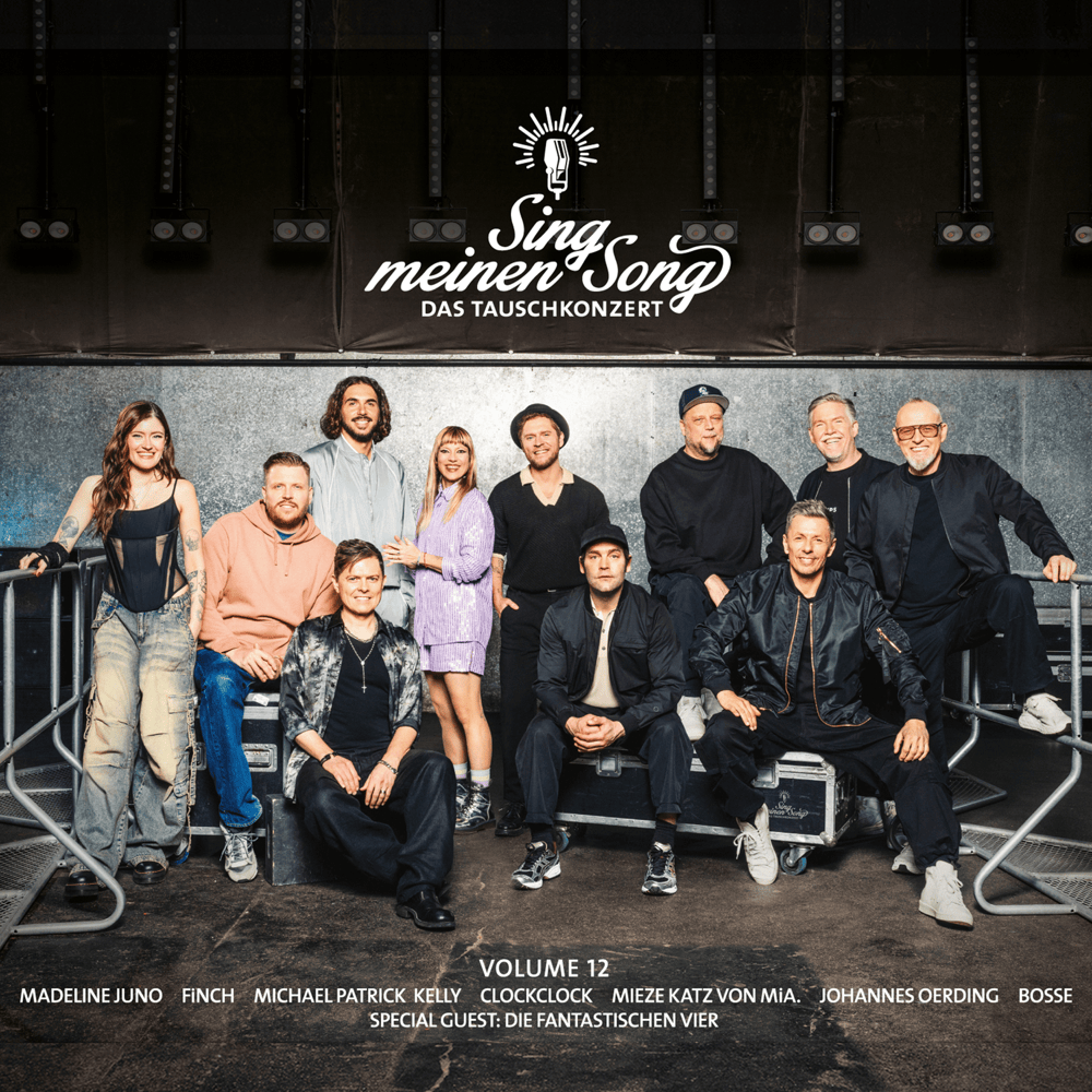 Album cover art for "Brooklyn (aus ”Sing meinen Song, Vol. 12")" by Bosse