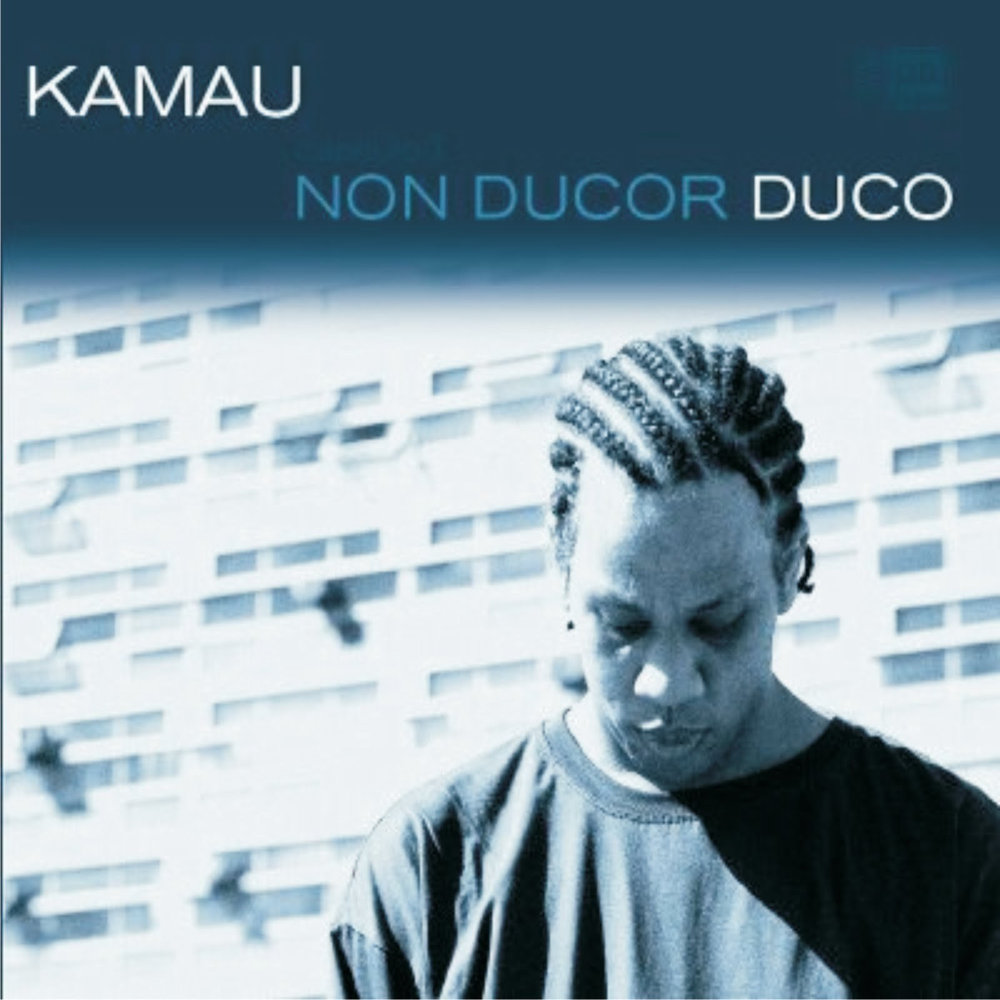 Album cover art for "Amar é..." by Kamau