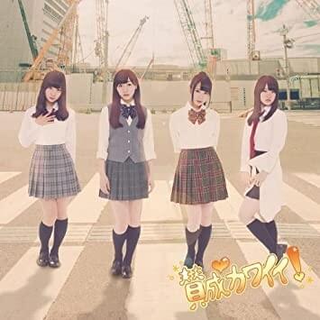 Cover image for Sansei Kawaii! (Type D)