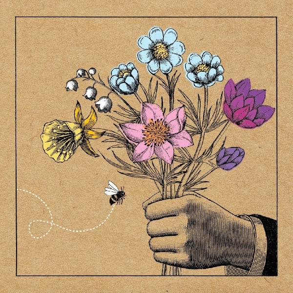 Album cover art for "Shrinking Violet" by Bishop Allen
