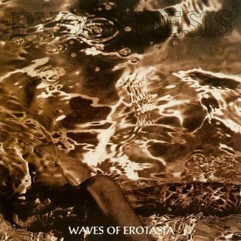 Still Burn in Fire by Pyogenesis