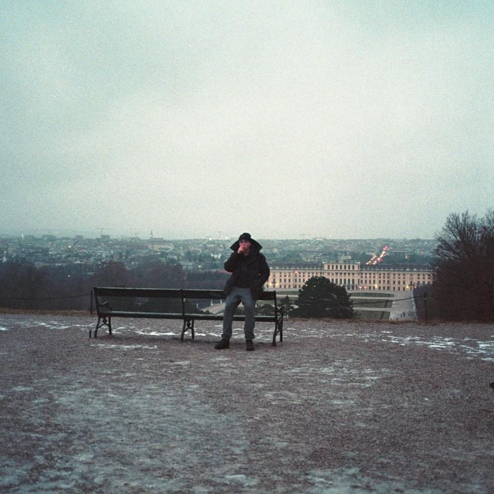 Album cover art for "Stylecheck" by Brown-Eyes White Boy
