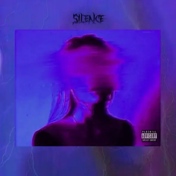 Cover image for Silence