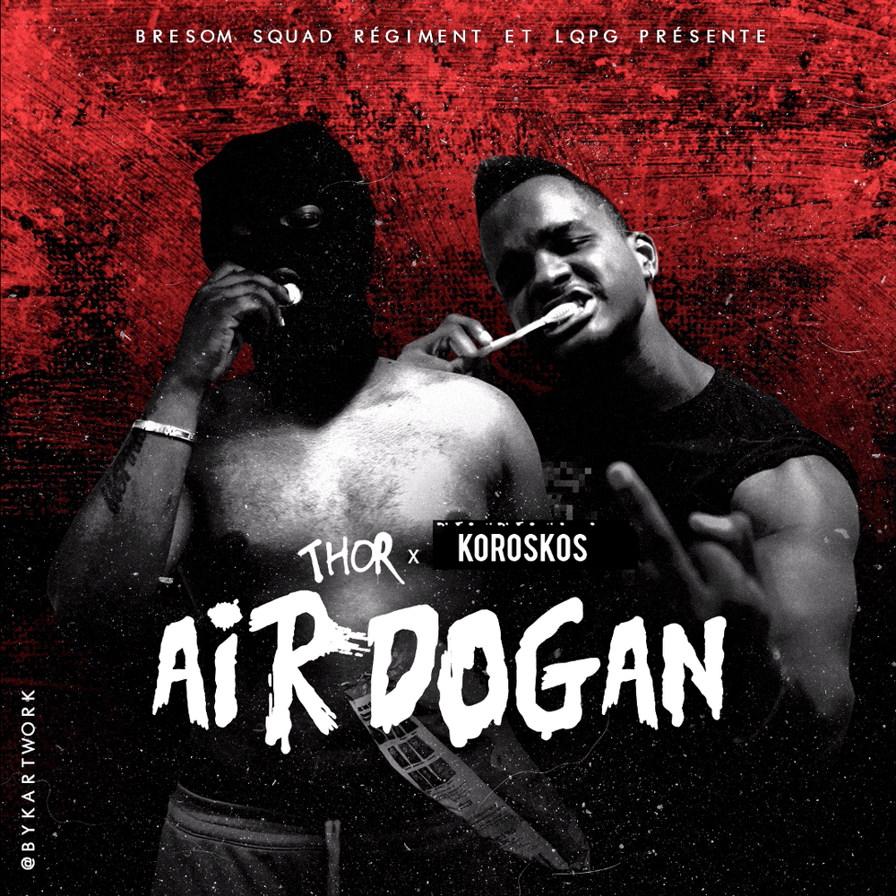 Cover image for AIRDOGAN