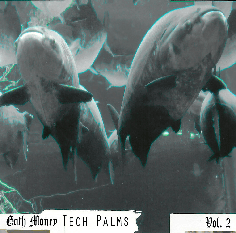 Cover image for GOTH MONEY TECH PALMS FOR THE 99 - 2005