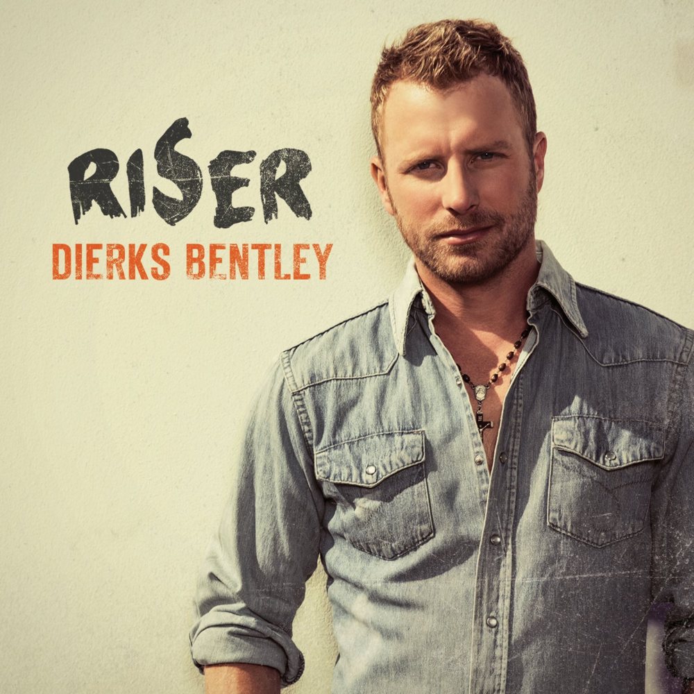Cover image for Riser