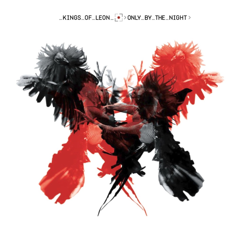 Cover image for Only by the Night