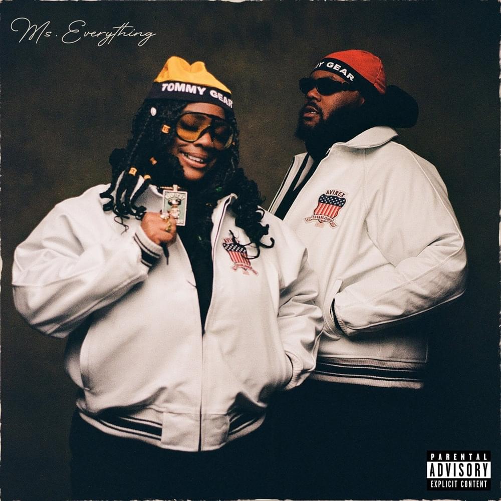 Cover image for Ms Everything