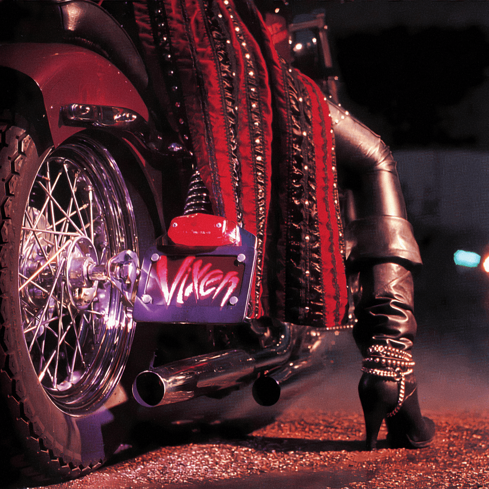 Cover image for Vixen