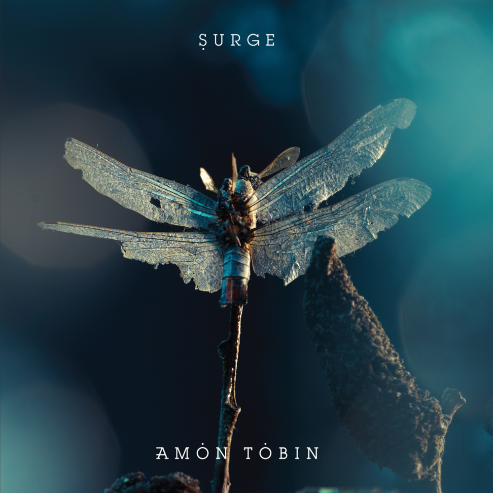 Album cover art for "Surge" by Amon Tobin
