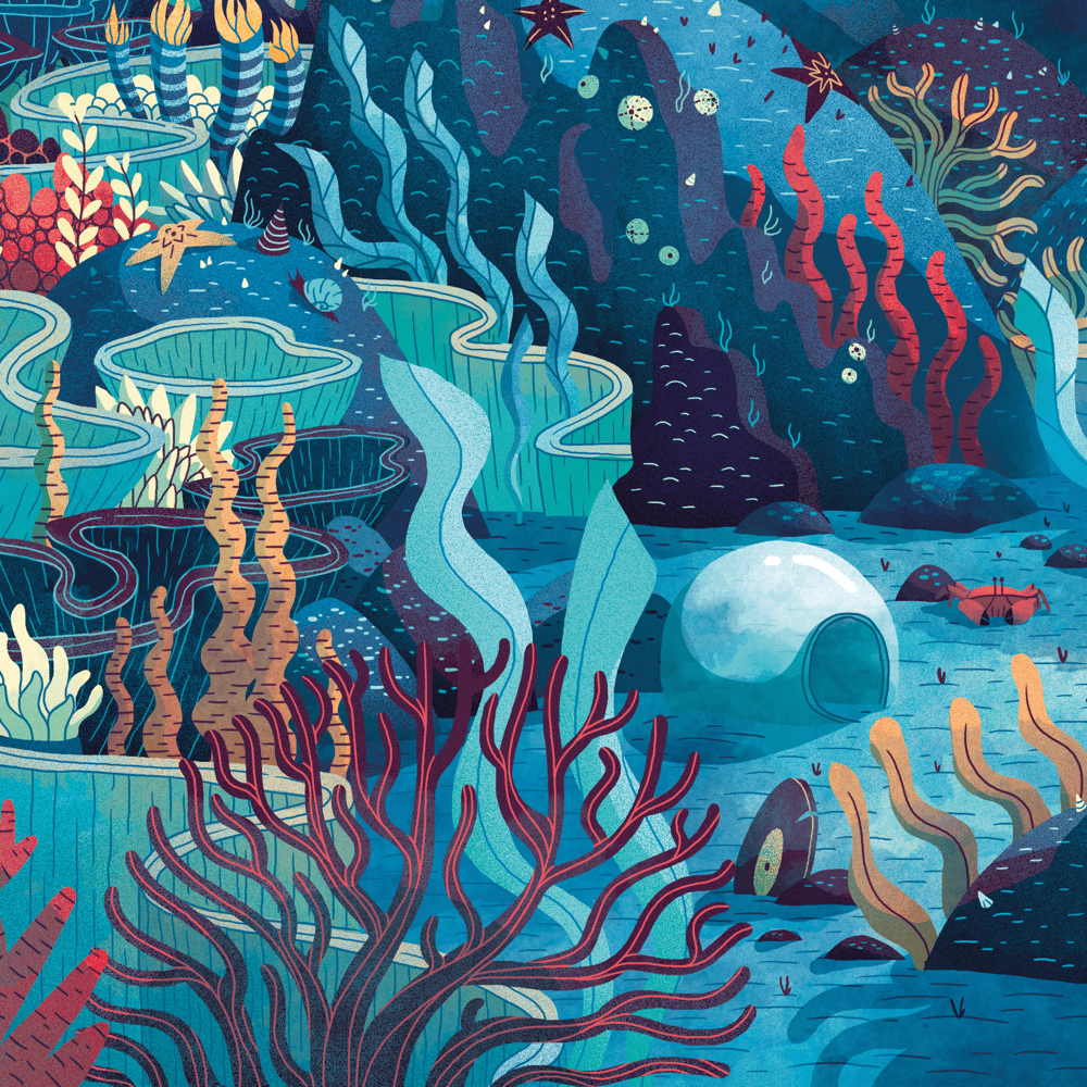 Album cover art for "Collages" by Sleepy Fish