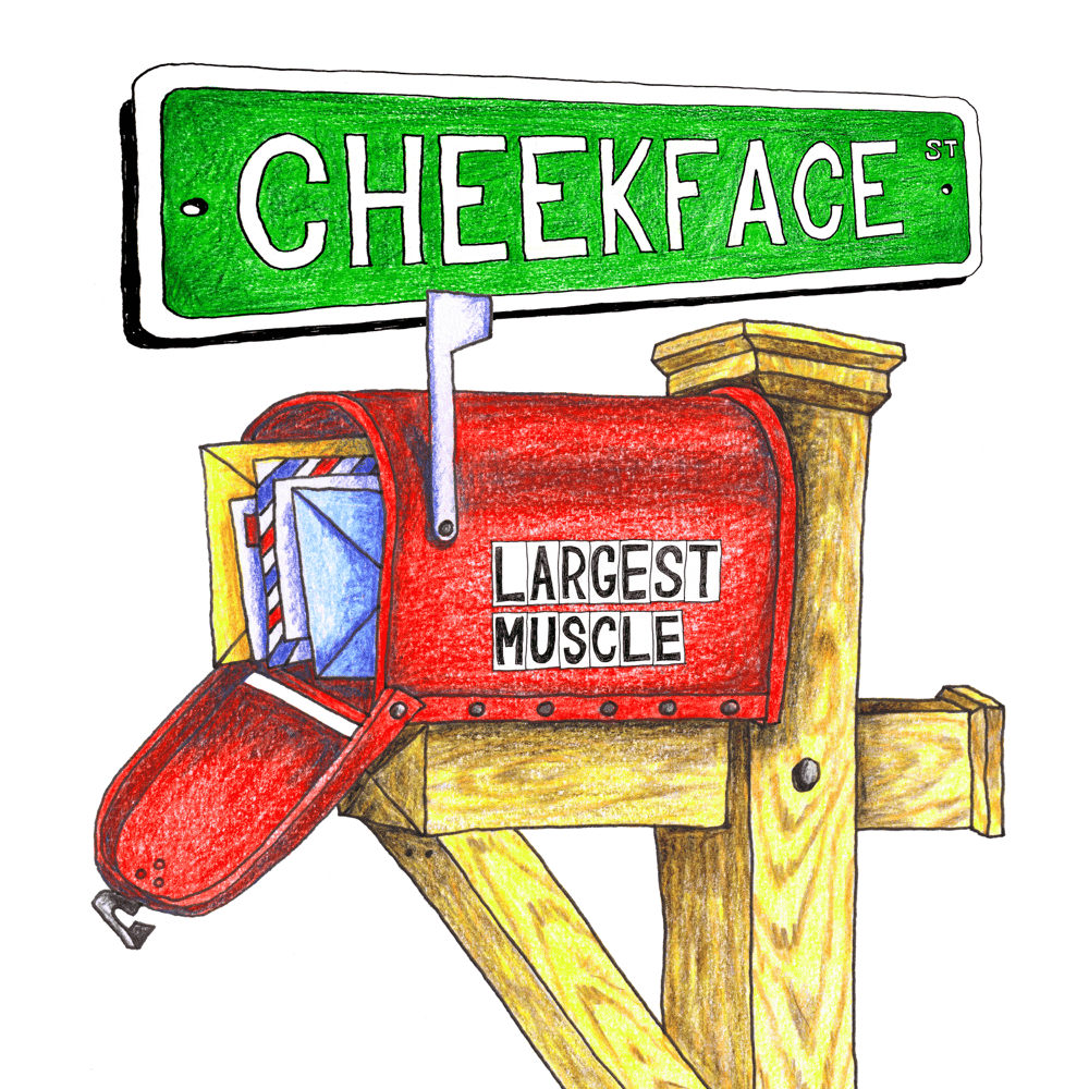Largest Muscle by Cheekface