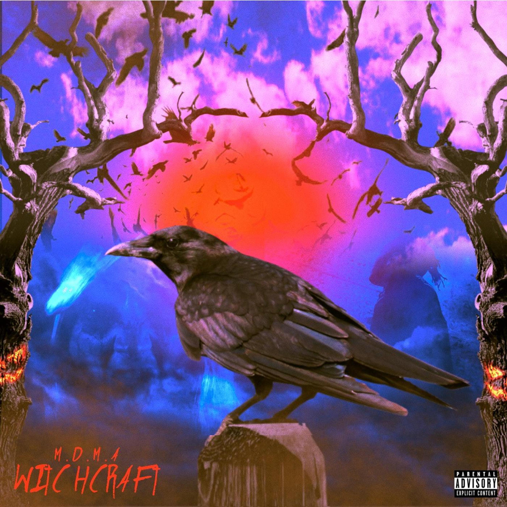 Cover image for Witchcraft