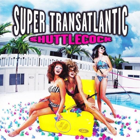 Cover image for Shuttlecock
