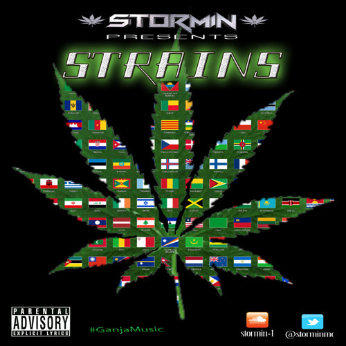 Cover image for Strains