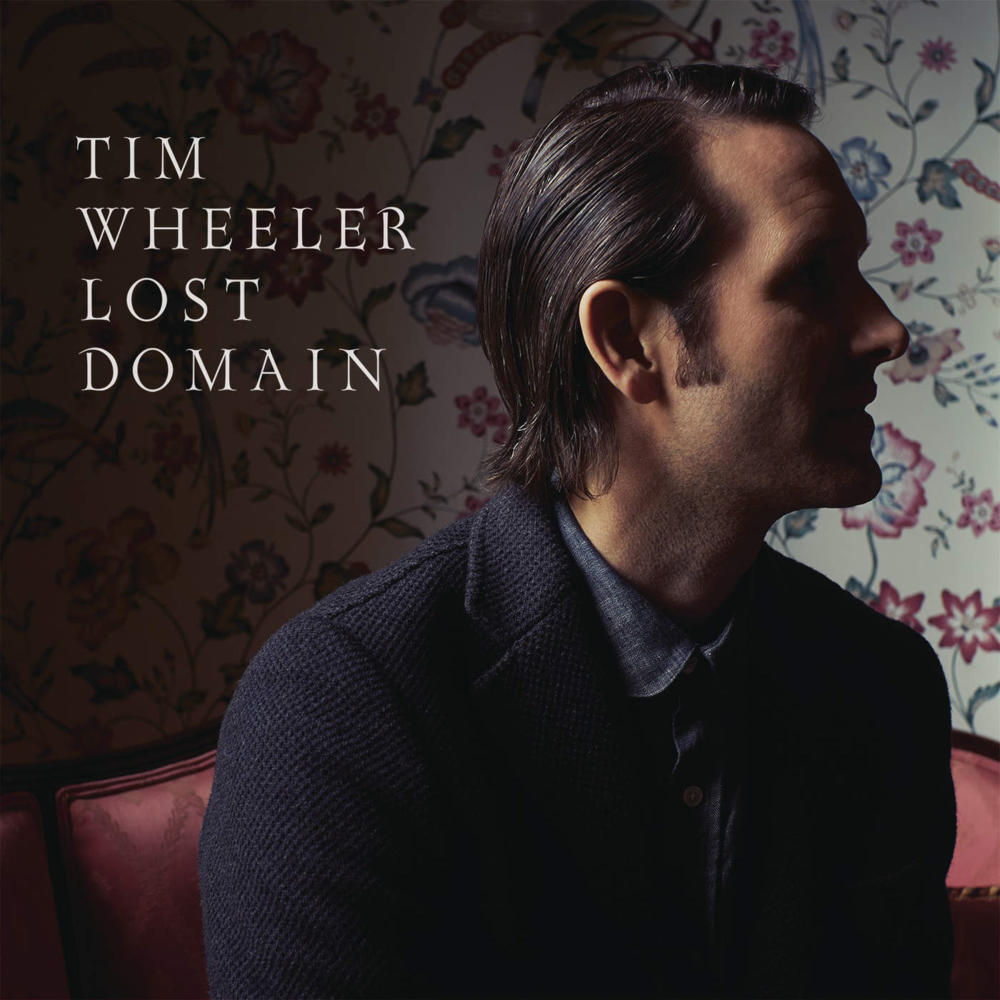 Lost Domain by Tim Wheeler
