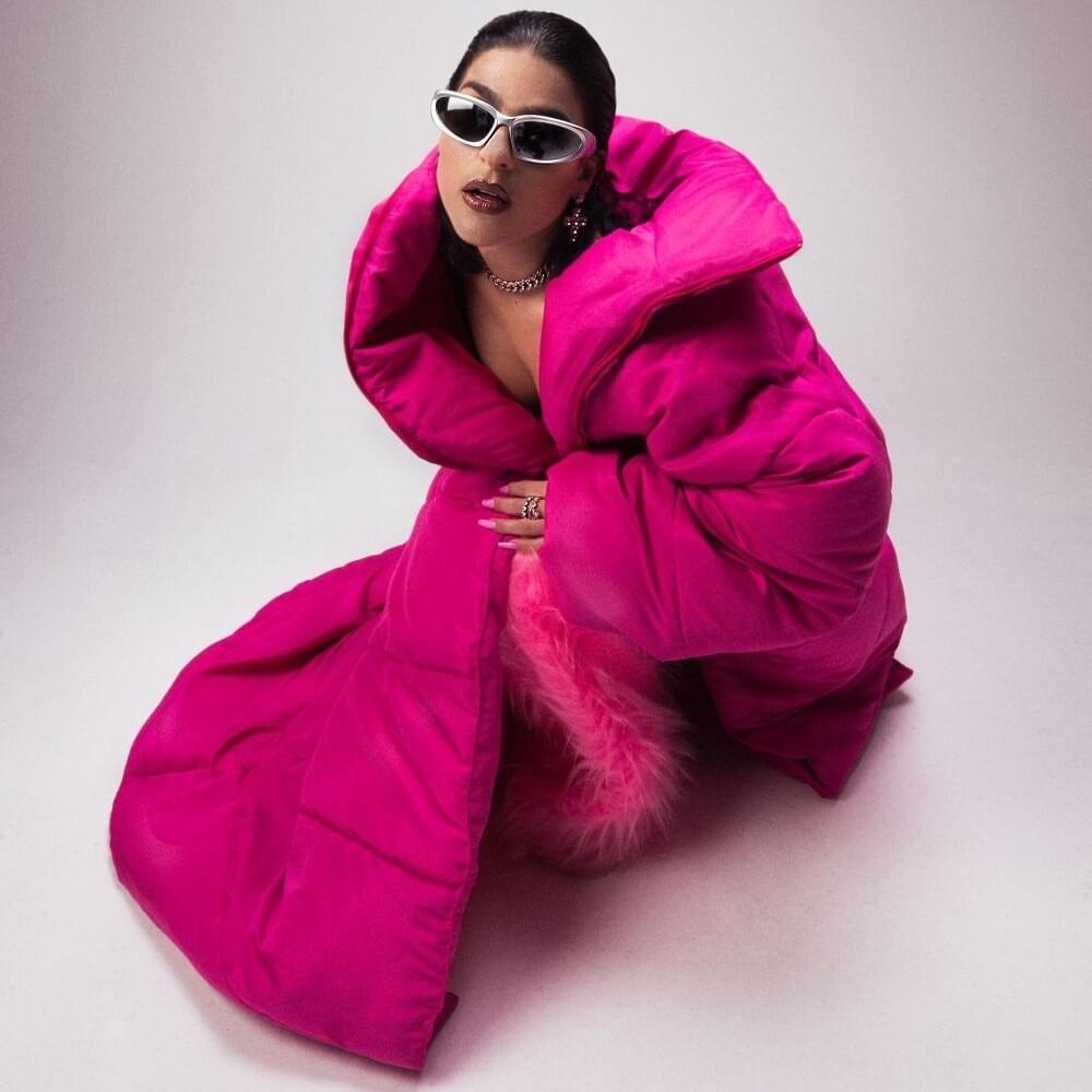 Cover image for Delfina Dib