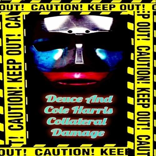Cover image for Collateral Damage