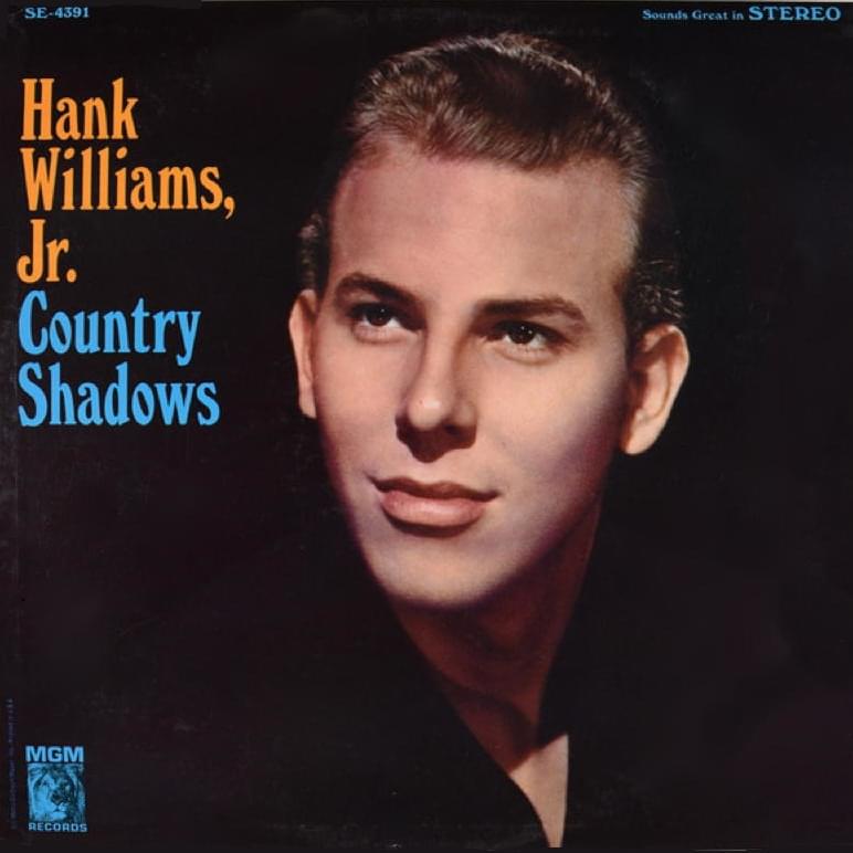 Album cover art for "Endless Sleep" by Hank Williams Jr.
