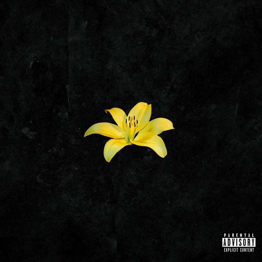 Cover image for Жёлтые лилии (Yellow lilies)