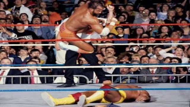 Cover image for WWE 1989 PPV Results