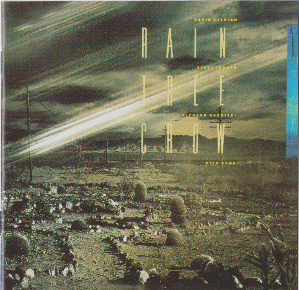 Album cover art for "Every Colour You Are" by Rain Tree Crow