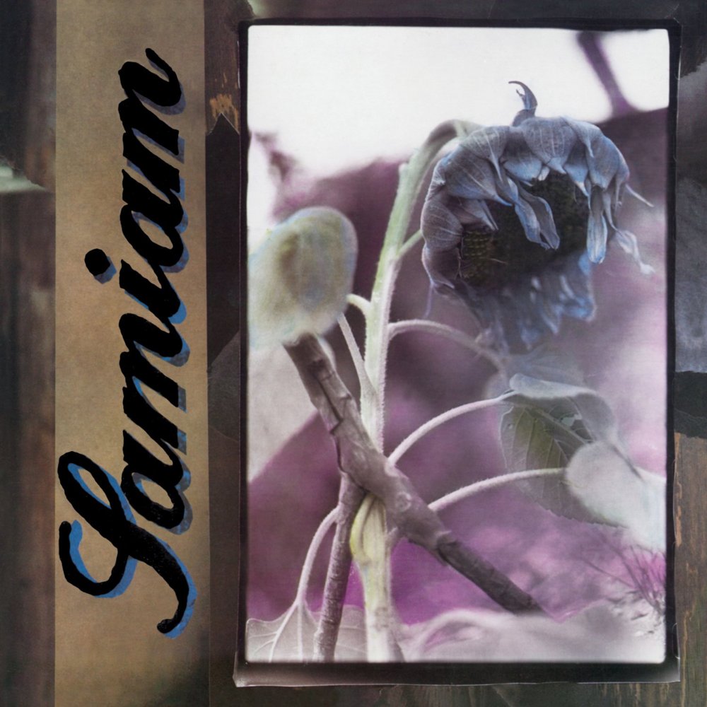 My Eyes by Samiam