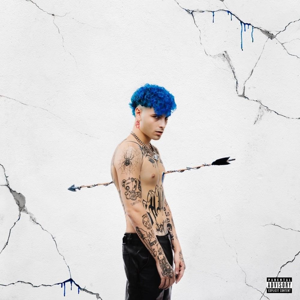 Cover image for MALDIVITA