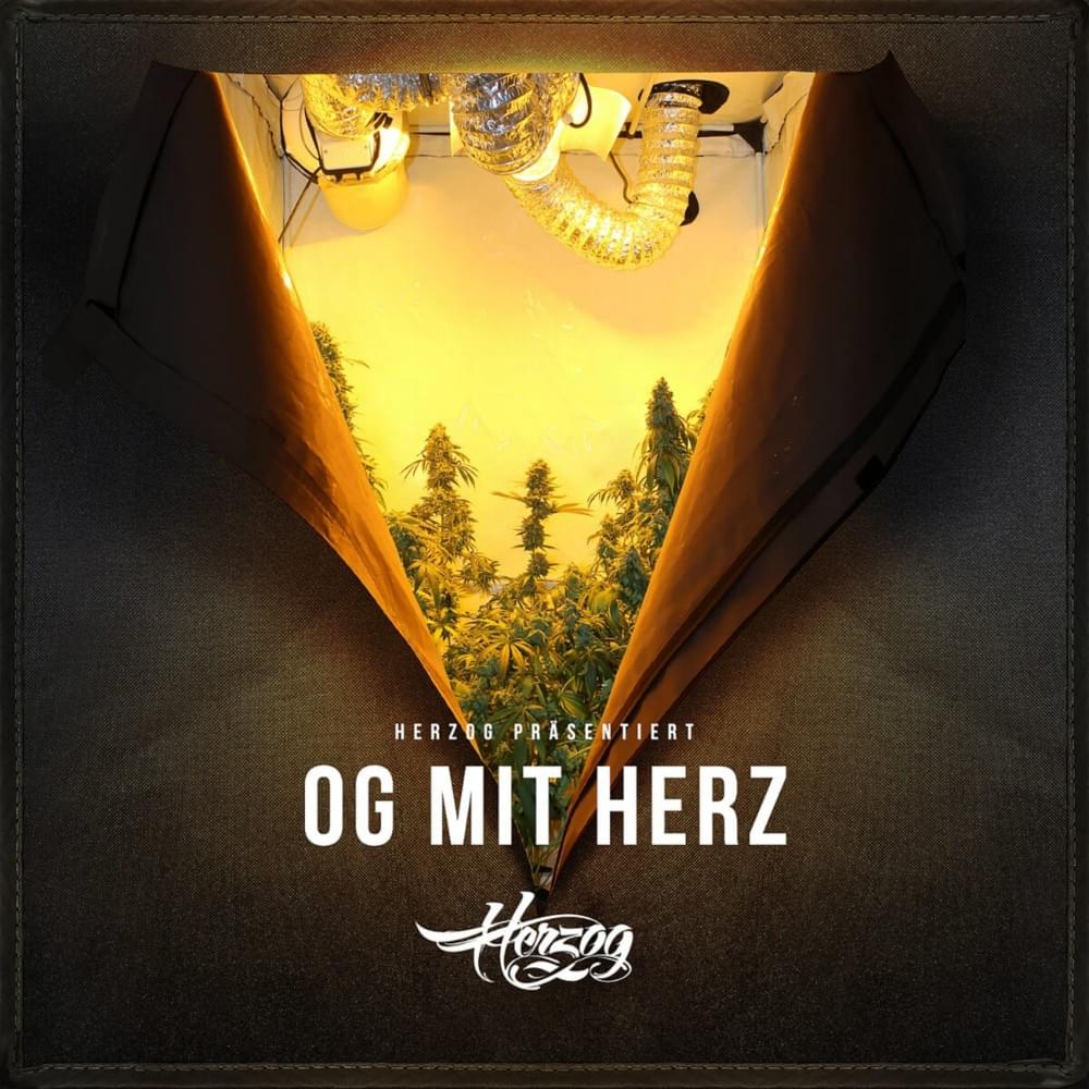 Cover image for OG mit Herz