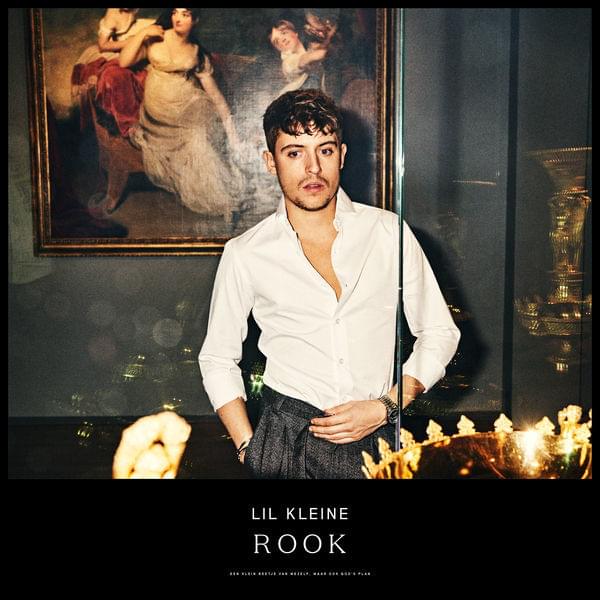 Album cover art for "Rook" by Lil Kleine