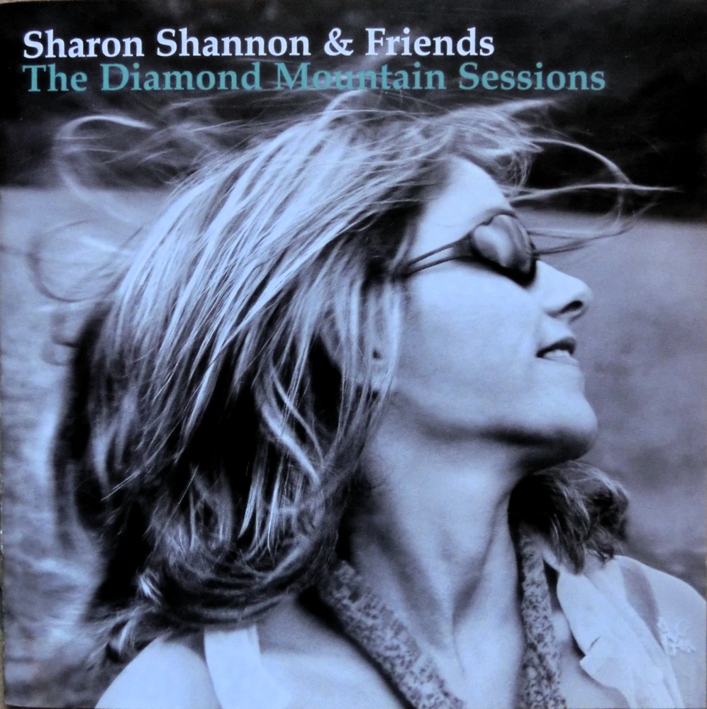 Say You Love Me by Sharon Shannon