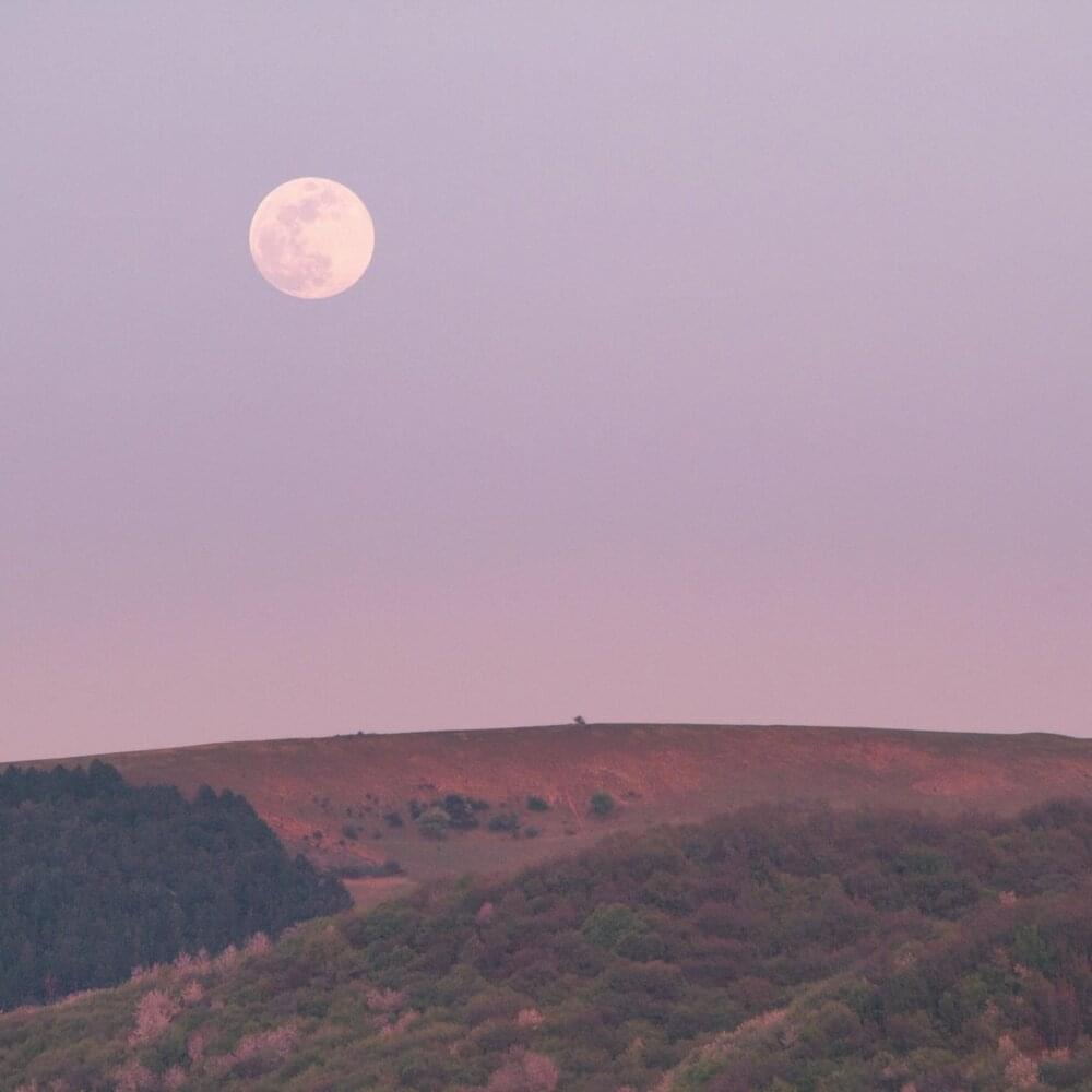 Album cover art for "The Moon Has No Light of Its Own" by Imaginary Future