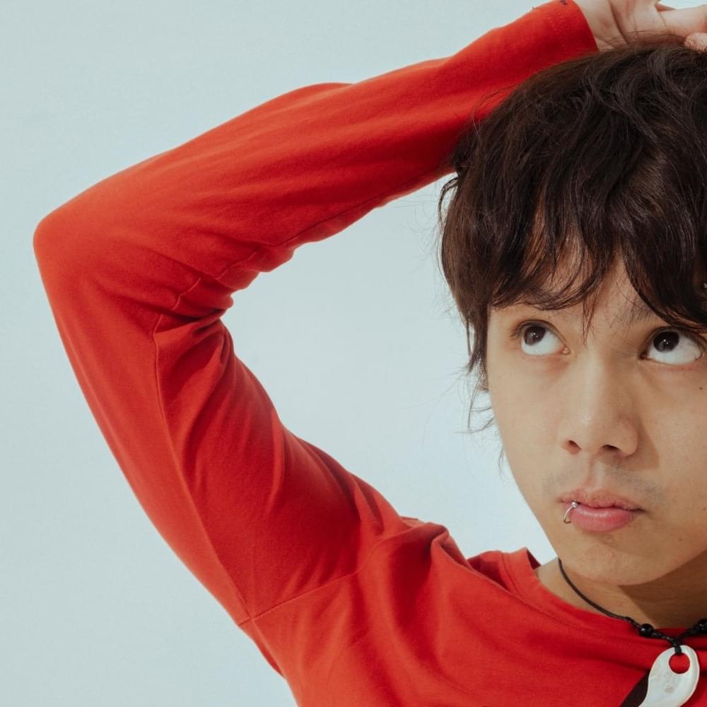 Cover image for Zild