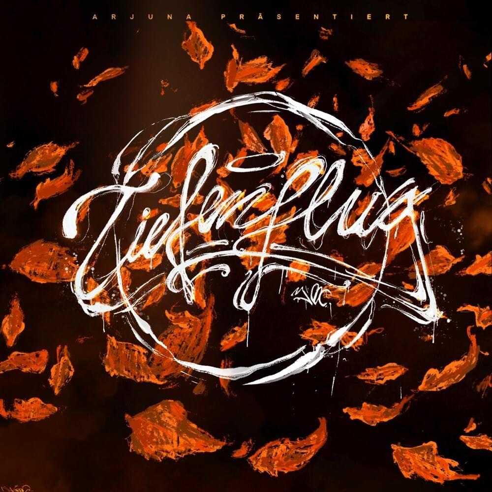 Cover image for Tiefenflug