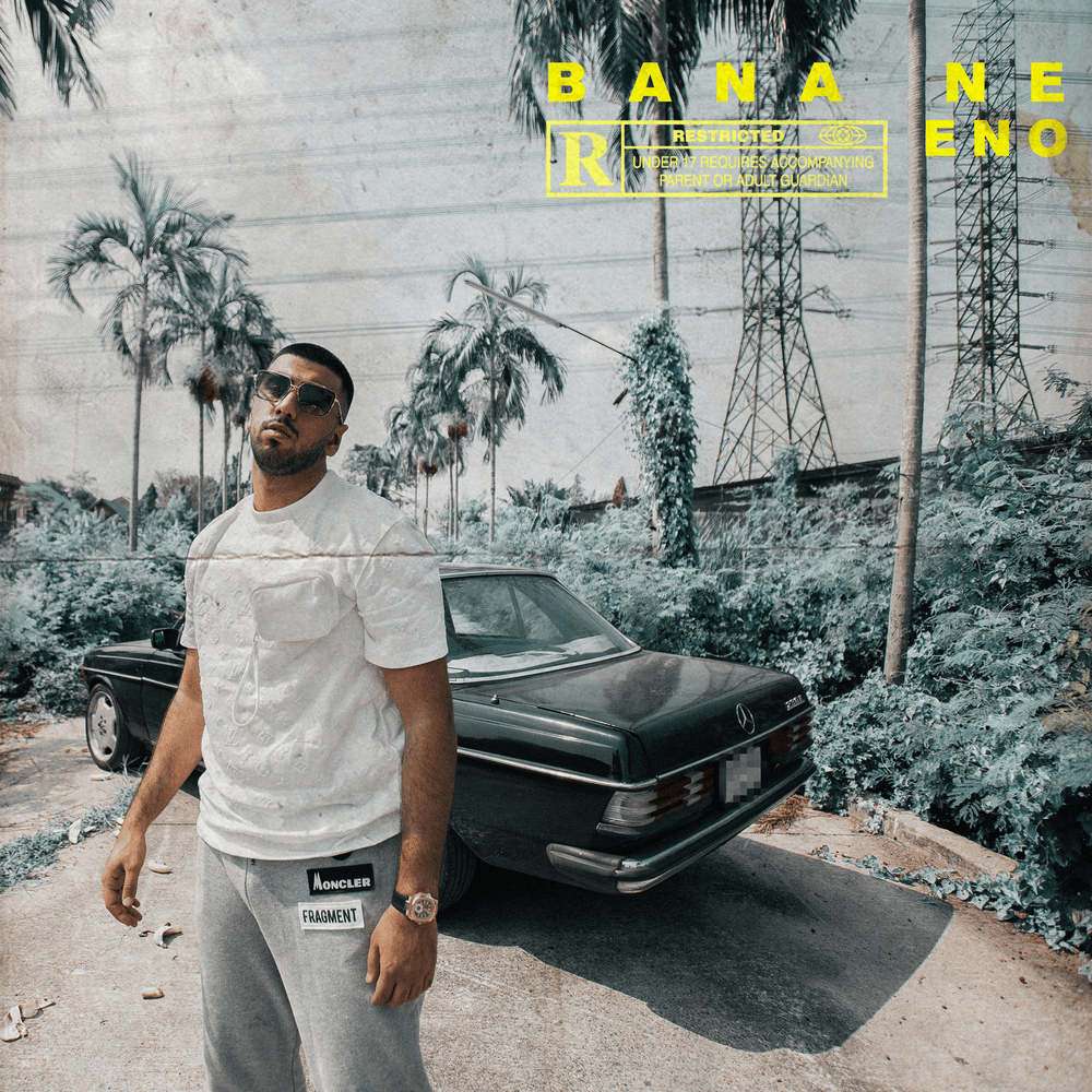 Album cover art for "Bana Ne" by Eno
