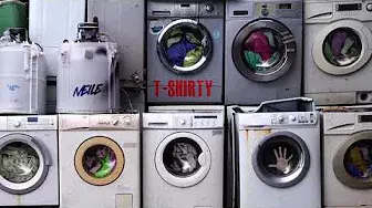 Album cover art for "T-shirty" by Neile