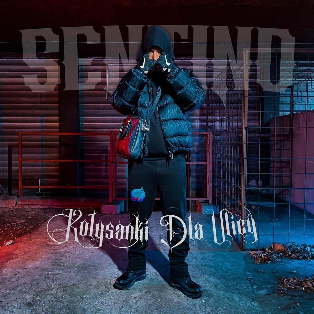 Cover image for KOŁYSANKI DLA ULICY