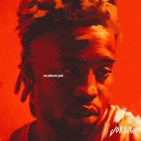 Album cover art for "Ne pleure pas" by Jok’Air