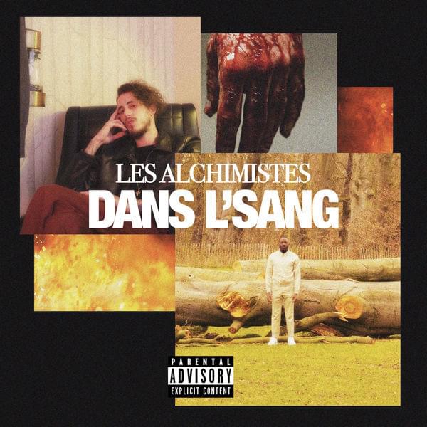 Album cover art for "Dans l’sang" by Les Alchimistes